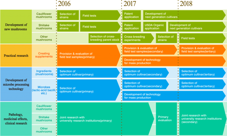 Roadmap – FFT USA